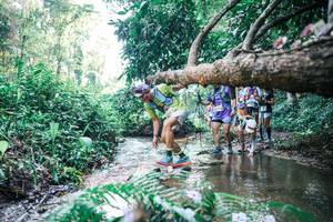 BIB: 
                            <button type="button" onclick="openModal(25444401)" class="btn btn-primary btn-sm float-right btn-popup" data-toggle="modal" data-target=".modal-high-quality">
                        <i class="fas fa-shopping-cart"></i> Add to Cart
                    </button>
                                            <button type="button" onclick="isThisMe(25444401, true)" class="btn btn-success btn-sm float-right btn-popup btn-isme hidden" data-toggle="tooltip" data-placement="bottom" title="นี่คือรูปของคุณใช่ไหม คลิกที่นี่เพื่อเอาเข้าอัลบั้ม">
                        <i class="fas fa-plus"></i> Add to album
                    </button>
                    <button type="button" onclick="isThisMe(25444401, false)" class="btn btn-warning btn-sm float-right btn-popup btn-isnotme hidden">
                        <i class="fas fa-ban"></i> Remove from album
                    </button>